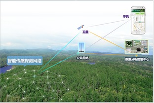 物聯(lián)網(wǎng) 技術(shù)研發(fā)與行業(yè)應(yīng)用的雙輪驅(qū)動(dòng)